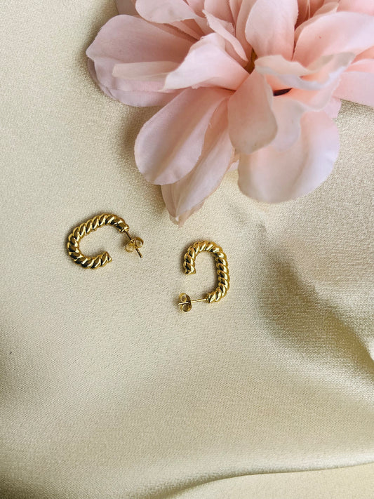 Twist Hoops